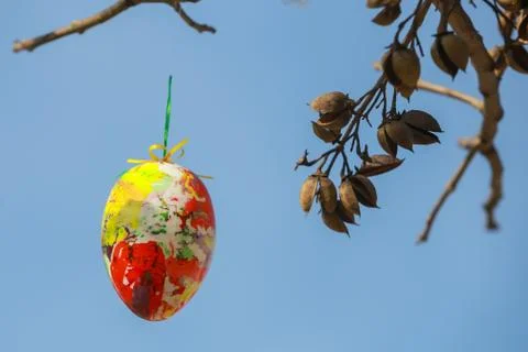 Decorated Easter eggs on the tree Stock Photos