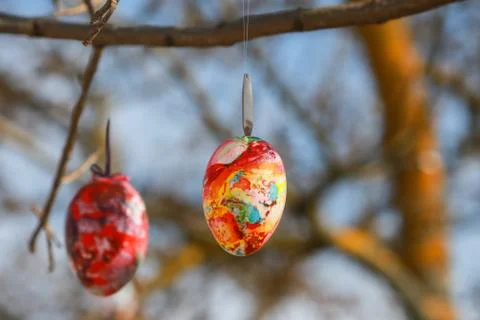 Decorated Easter eggs on the tree Stock Photos