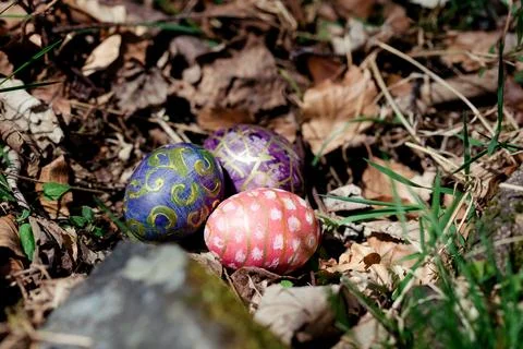 Decorated eggs with intricate patterns rest on the dry leaves in forest Stock Photos