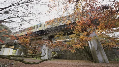 Decorated Eizan Train Crossing a Maple-Framed Bridge in Kyoto 库存影片 348578970