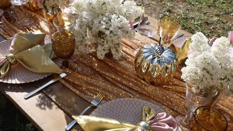 Decorated festive table laid for summer garden party Stock Footage 140178211