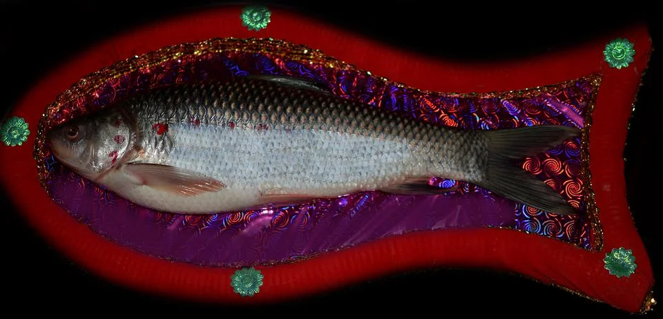 Decorated fish Stock Photos