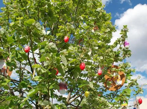 Decorated Handmade Easter Eggs Hanging on Tree Branches in Spring Garden Stock-Fotos