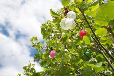 Decorated Handmade Easter Eggs Hanging on Tree Branches in Spring Garden Stock Photos