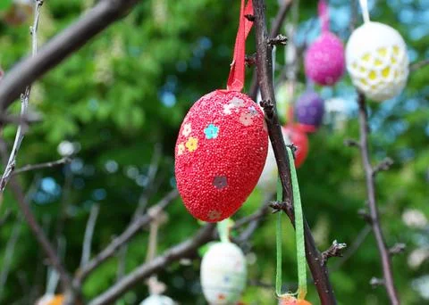 Decorated Handmade Red Easter Eggs Hanging on Tree Branches in Spring Garden Stock Photos