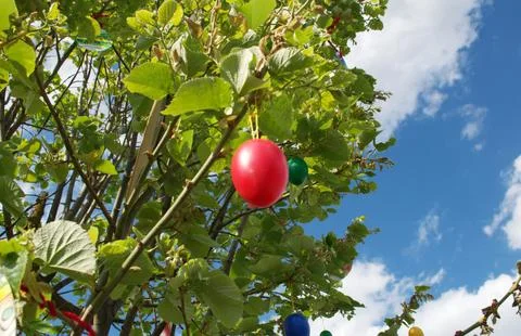 Decorated Handmade Red Easter Eggs Hanging on Tree Branches in Spring Garden Stock Photos