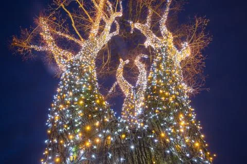 Decorated illuminating tree Stock Photos