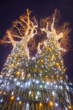 Decorated illuminating tree Stock Photos