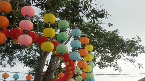 Decorated with lanterns and flowers  to welcome the Chinese New Year 2024 Stock Footage 263556743