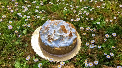 Decorated lemon pie on green grass, surrounded by vibrant wildflowers Stock Footage 278220760