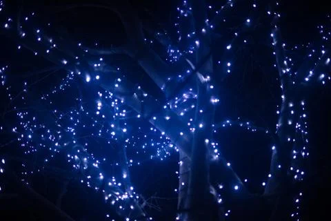 Decorated magical tree Stock Photos