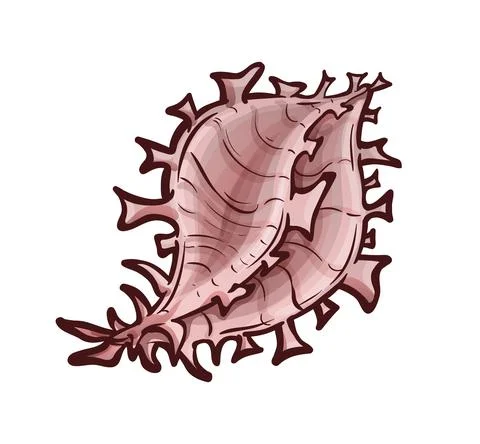 Decorated by many appendages seashell. Sea animal Stock Illustration