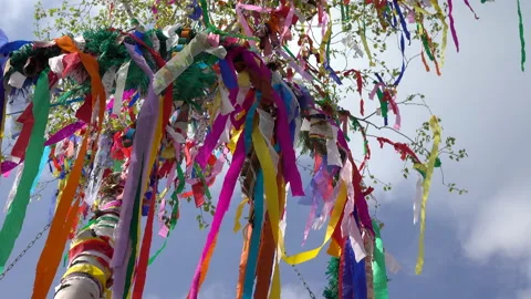 Decorated maypole Vidéo 153321505