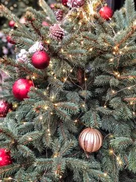 Decorated noel tree as a background Stock Photos