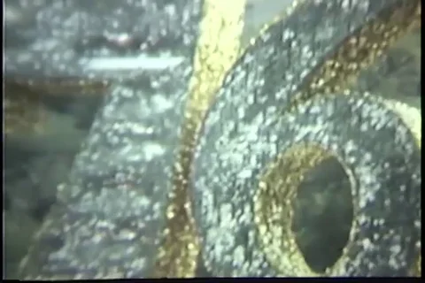 Decorated parade float drive on street - 1976 Stock Footage 93035403