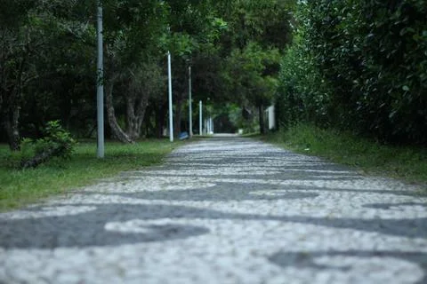 Decorated Pathway In Nature Stock Photos