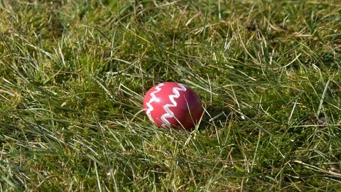 Decorated pink egg on grass Video stock 73462370