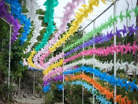 Decorated plastic Stock Footage 112605405