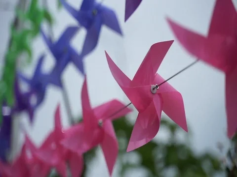 Decorated plastic Stock Footage 112605441