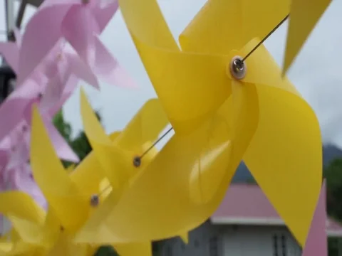 Decorated plastic Stock Footage 112605475