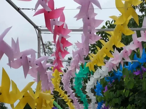 Decorated plastic Stock Footage 112605538