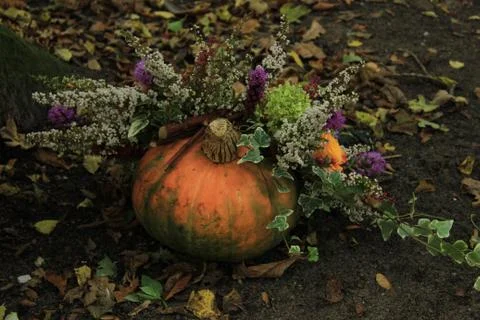 Decorated pumpkin Stock Photos