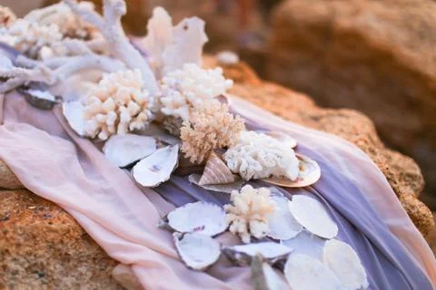 Decorated with seashells and corals violet tablecloth on stones. 스톡 사진