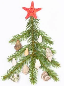 Decorated with shells Foto stock