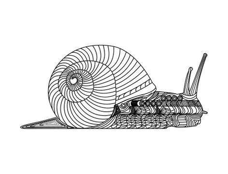 Decorated snail with shell Stock Illustration