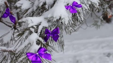 Decorated snowy forest with tree lilac ribbons Stock Footage