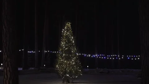 Decorated with sparkling lights , a spruce tree outdoors at night. Stock Footage 266885588