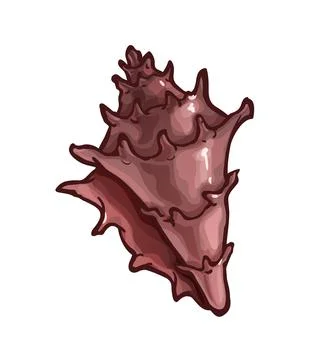 Decorated spiral shape seashell, conus with edges イラスト素材