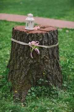 Decorated stump with flower 写真素材