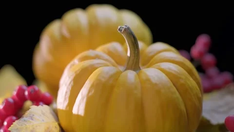 Decorated table with two ripe and fresh orange pumpkins from ecological farm Stock Footage 163555030