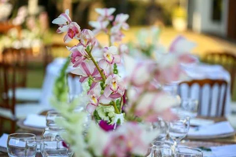Decorated table for wedding with orchids 库存照片
