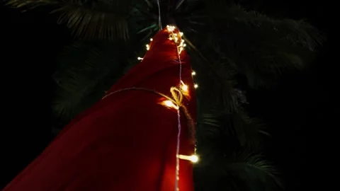 Decorated Tree Background, Red and Green Decoration, glowing string lights 스톡 동영상 228063952