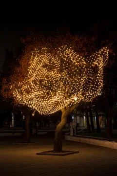 Decorated tree crown 스톡 사진