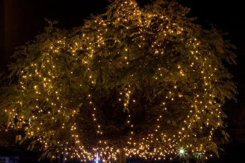 Decorated tree crown Foto stock