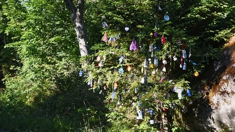 Decorated tree Stock Footage 95525054