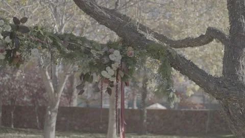 Decorated Tree Stock Footage 315547803