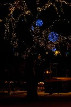 Decorated tree with multi-colored Christmas lights in city park at night Stock Photos