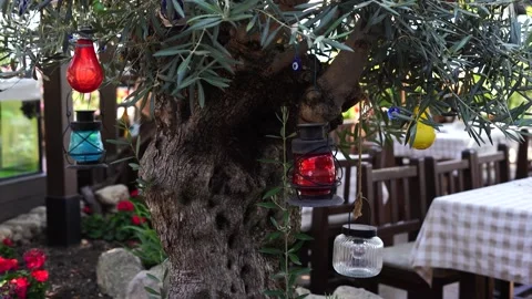 A decorated tree trunk   beside outdoor café tables Stock Footage 315087798