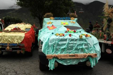 Decorated Vehicle Stock Photos