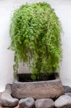 Decorated wall 스톡 사진