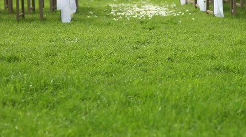 Decorated wedding arch rustic style Stock Footage 61911940