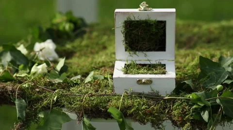 Decorated wedding arch rustic style Stock Footage 61912280