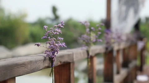 Decorateds wedding arch elements Video stock 42564534