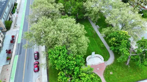 Decorates a Park - Syracuse, NY Video stock 336229066