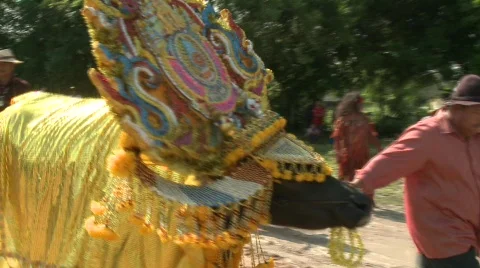 Decorating the buffalo 14 Video stock 483692