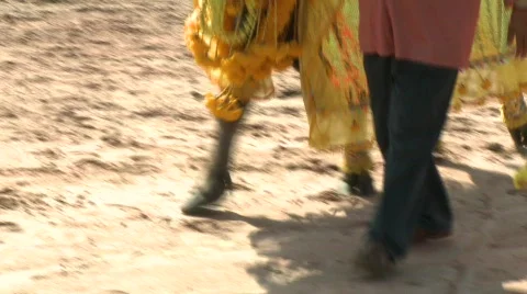 Decorating the buffalo 15 Stock Footage 483688